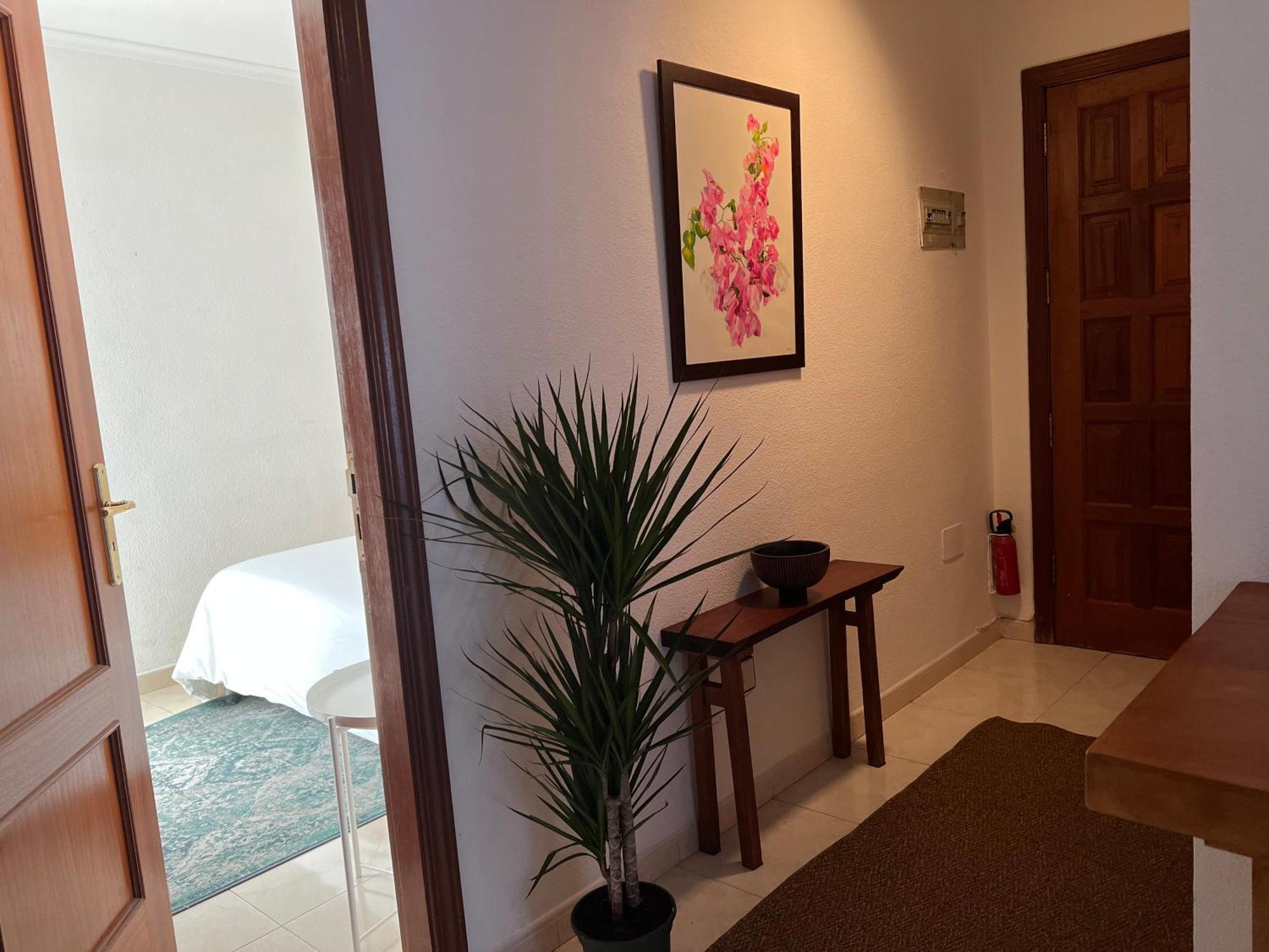 Cozy Lejlighed Santa Cruz de Tenerife Eksteriør billede